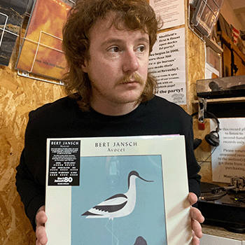 Avocet
